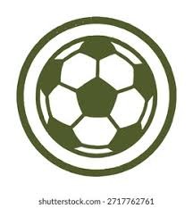 解析坦帕湾光芒的算法优势